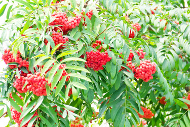 Similar image 6208447