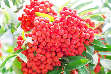 Similar image 6208448