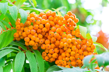 Similar image 6208453