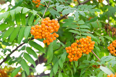 Similar image 6208455