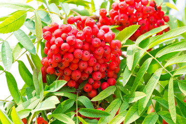 Similar image 6208458