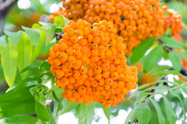 Similar image 6208459