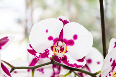 Similar image 6208465