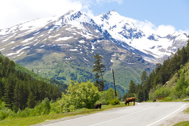 Similar image 6208472