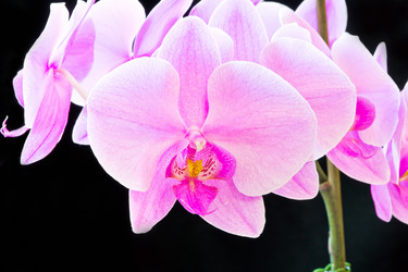 Similar image 6208475