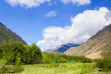 Similar image 6208499