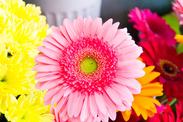 Similar image 6208503