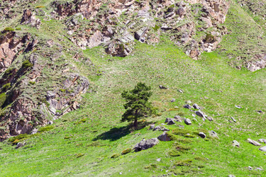 Similar image 6208513