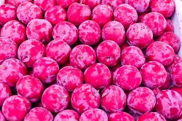 Similar image 6208535