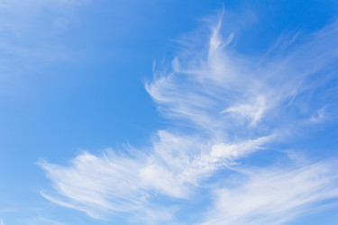 Similar image 6208543