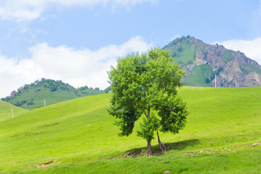 Similar image 6208548