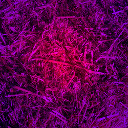 Similar image 6208567