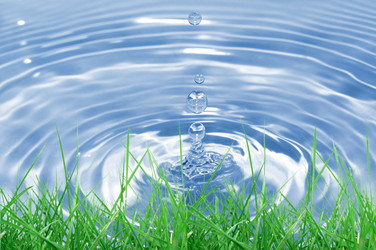 Similar image 6208652