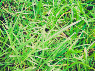 Similar image 6208714