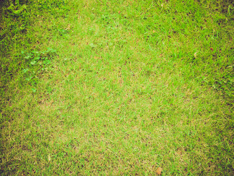 Similar image 6208715