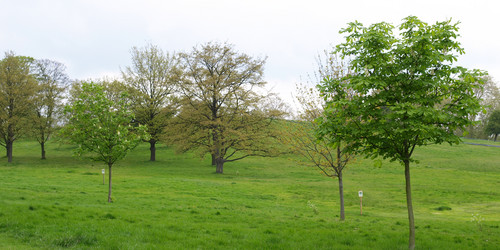 Similar image 6208756