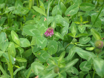 Similar image 6208765