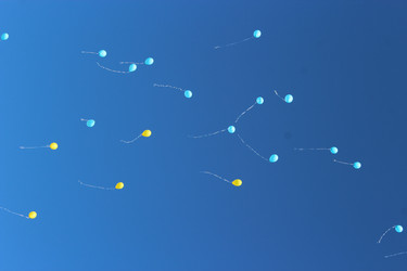 Similar image 6209097