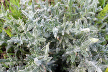 Similar image 6209299