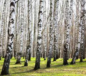 Similar image 6209580