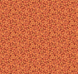 Similar image 6209585