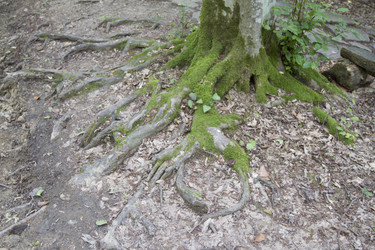 Similar image 6209616