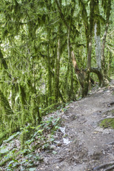 Similar image 6209618