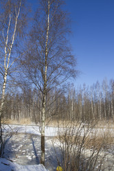 Similar image 6209643