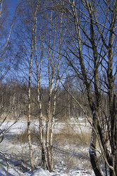 Similar image 6209644