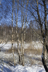 Similar image 6209645