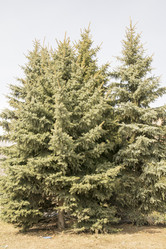 Similar image 6209730