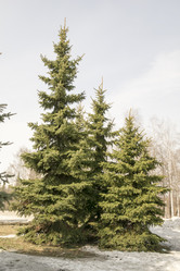 Similar image 6209731