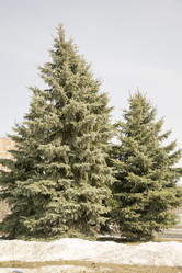 Similar image 6209734