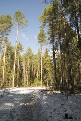 Similar image 6209738