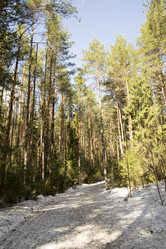 Similar image 6209739