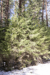 Similar image 6209740