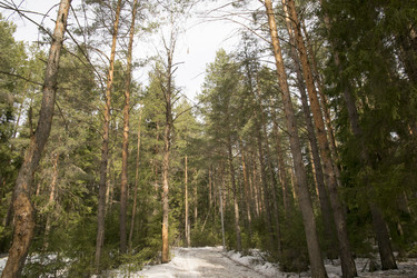 Similar image 6209741