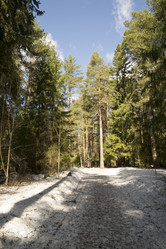 Similar image 6209742