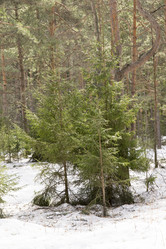 Similar image 6209743