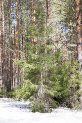 Similar image 6209744