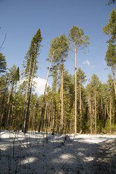 Similar image 6209745