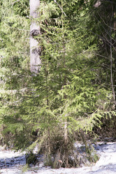 Similar image 6209746