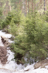 Similar image 6209750