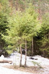 Similar image 6209751