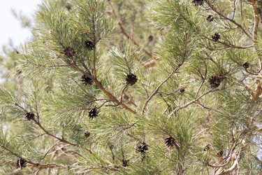 Similar image 6209752