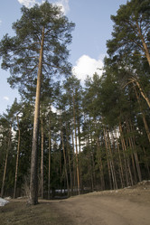 Similar image 6209753