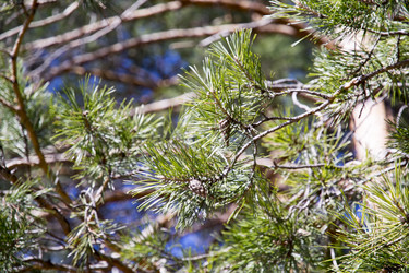 Similar image 6209754