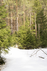 Similar image 6209758