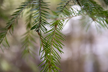 Similar image 6209759