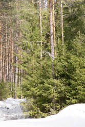 Similar image 6209760